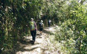Cusco to Machu Picchu