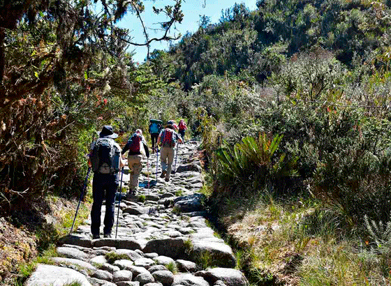 Machu Picchu Treks