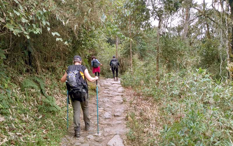 Best Time to Visit Machu Picchu